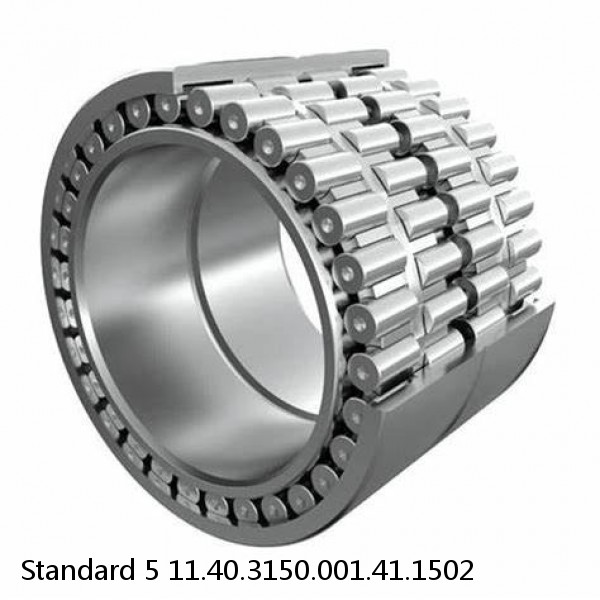 11.40.3150.001.41.1502 Standard 5 Slewing Ring Bearings