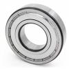 CONSOLIDATED BEARING NUP-313E P/6 C/2  Roller Bearings