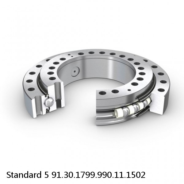 91.30.1799.990.11.1502 Standard 5 Slewing Ring Bearings #1 small image