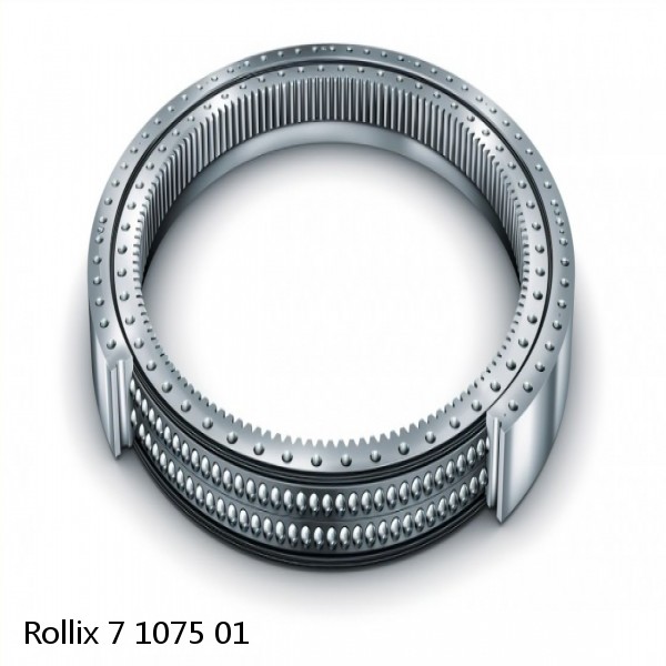7 1075 01 Rollix Slewing Ring Bearings #1 small image