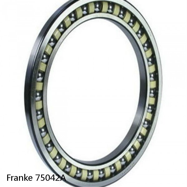 75042A Franke Slewing Ring Bearings