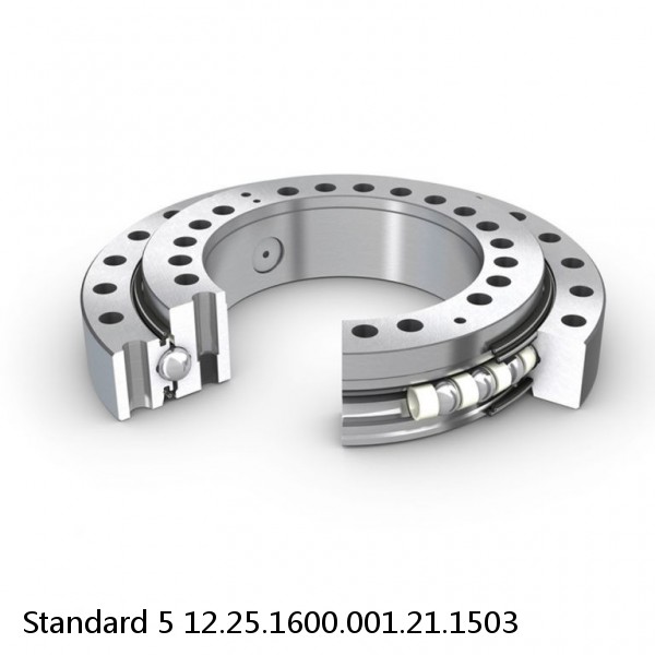 12.25.1600.001.21.1503 Standard 5 Slewing Ring Bearings #1 image