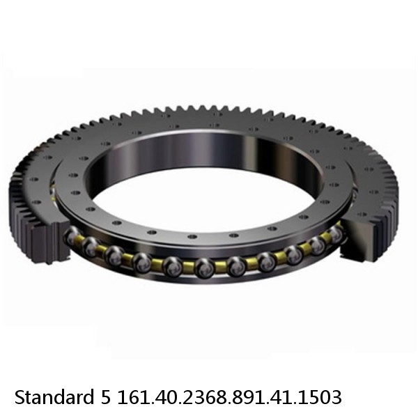 161.40.2368.891.41.1503 Standard 5 Slewing Ring Bearings #1 image
