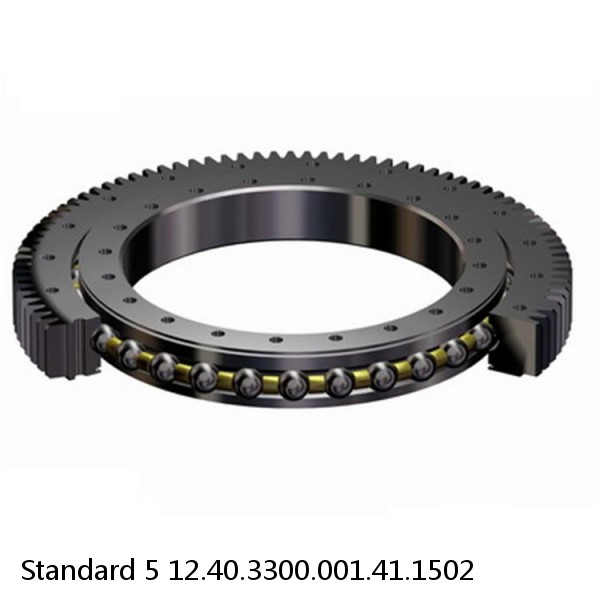 12.40.3300.001.41.1502 Standard 5 Slewing Ring Bearings #1 image