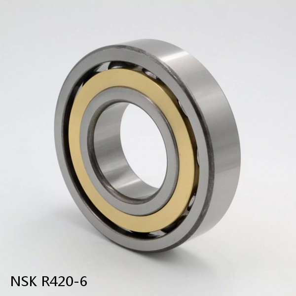 R420-6 NSK CYLINDRICAL ROLLER BEARING #1 image