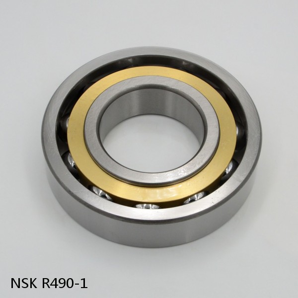 R490-1 NSK CYLINDRICAL ROLLER BEARING #1 image