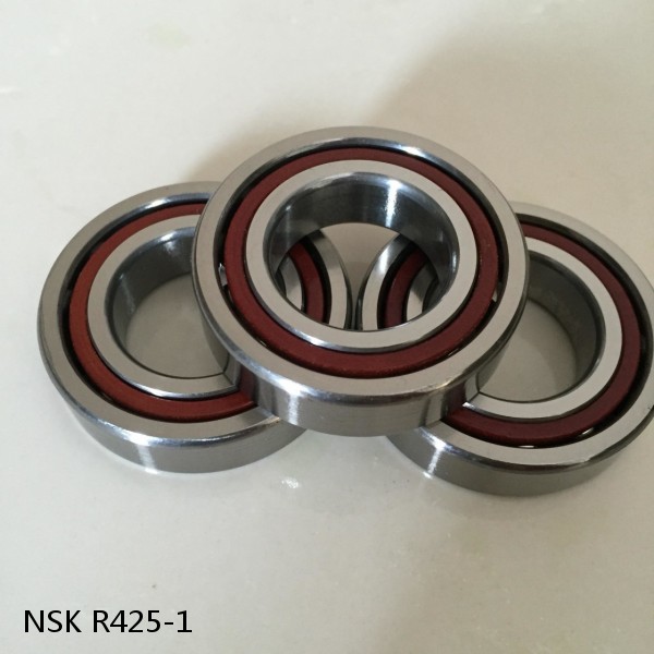 R425-1 NSK CYLINDRICAL ROLLER BEARING #1 image
