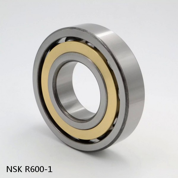 R600-1 NSK CYLINDRICAL ROLLER BEARING #1 image