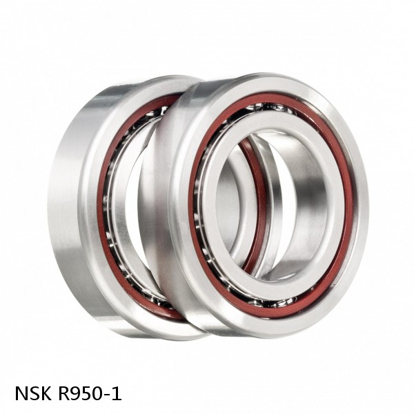 R950-1 NSK CYLINDRICAL ROLLER BEARING #1 image