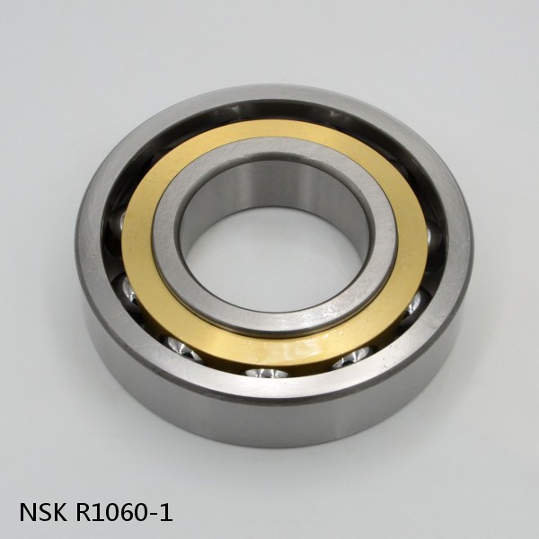 R1060-1 NSK CYLINDRICAL ROLLER BEARING #1 image